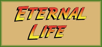 Indiana Jones pinball Eternal Life logo